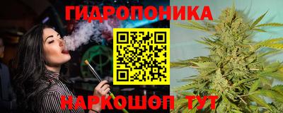 стаф Тара