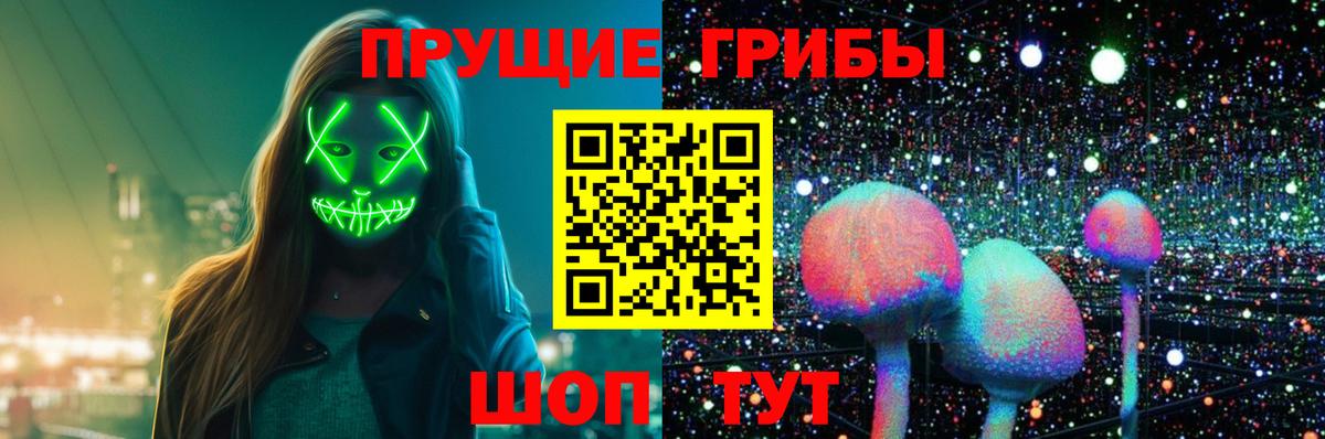Псилоцибиновые грибы GOLDEN TEACHER  Галлюциногенные грибы Magic Shrooms  Скопин  Вход с VPN 