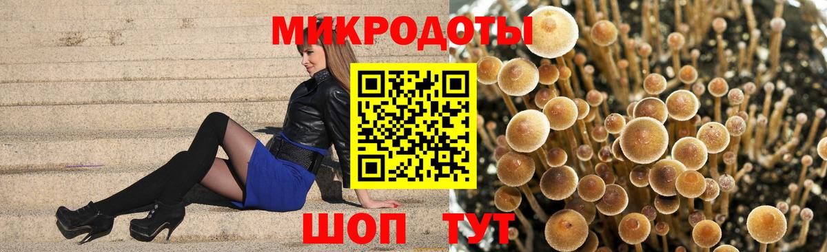 Галлюциногенные грибы Psilocybe Скопин